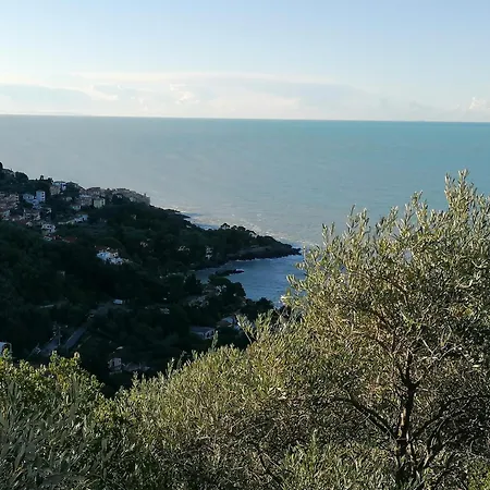 Le Rocce Wellness And Fitness, Only Adults Villa