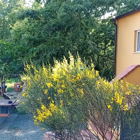 Villa Le Rocce Wellness And Fitness, Only Adults Lerici